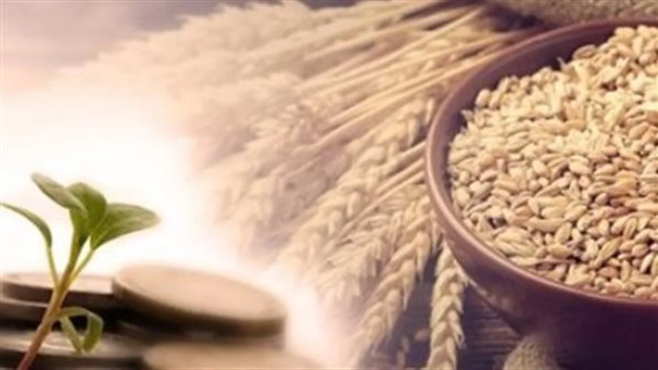 أحكام زكاة الفطر والفئات المستحقة لإخراجها في عام 2026 وفقا للشريعة الإسلامية